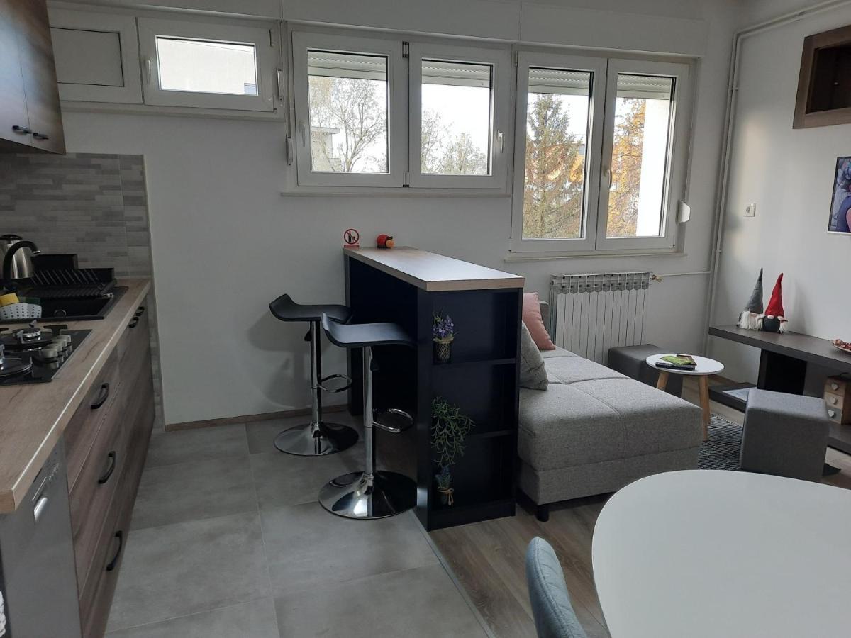 Apartman Ines Velika Gorica Extérieur photo