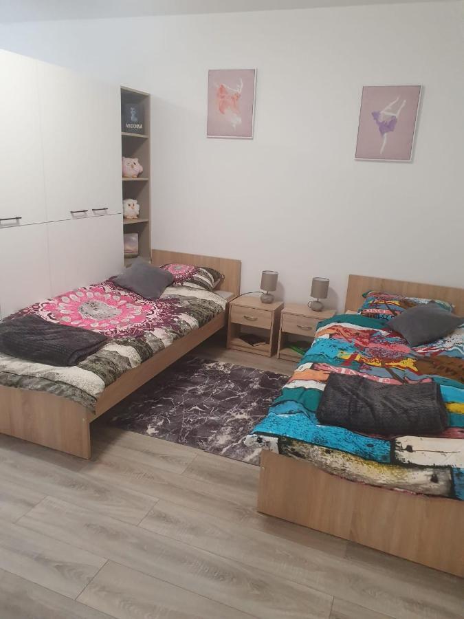 Apartman Ines Velika Gorica Extérieur photo